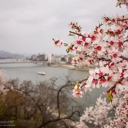 Gozsdu Dream Luxury 3 Double Bed Centre * Budapešť