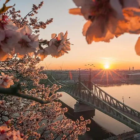 Gozsdu Dream Luxury 3 Double Bed Centre